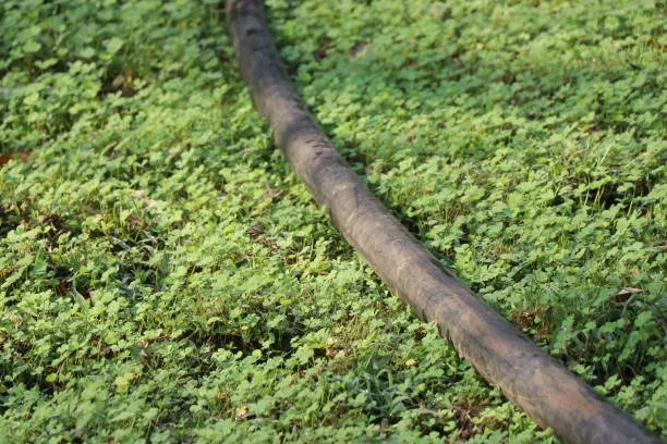 Why HDPE Pipes Are Important for Commercial and Industrial Use?
