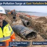 Damaged Pipes Cause Surge in Sewage Pollution Alerts at East Yorkshire Beach