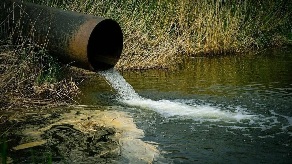 Yorkshire Water Sewage Spill Levels Show Improvement but Concerns Remain 2 fsadf